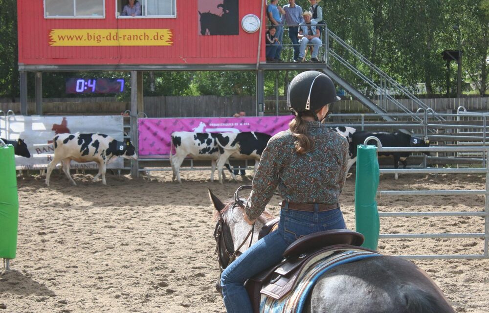 Cattle Penning in der Arena
