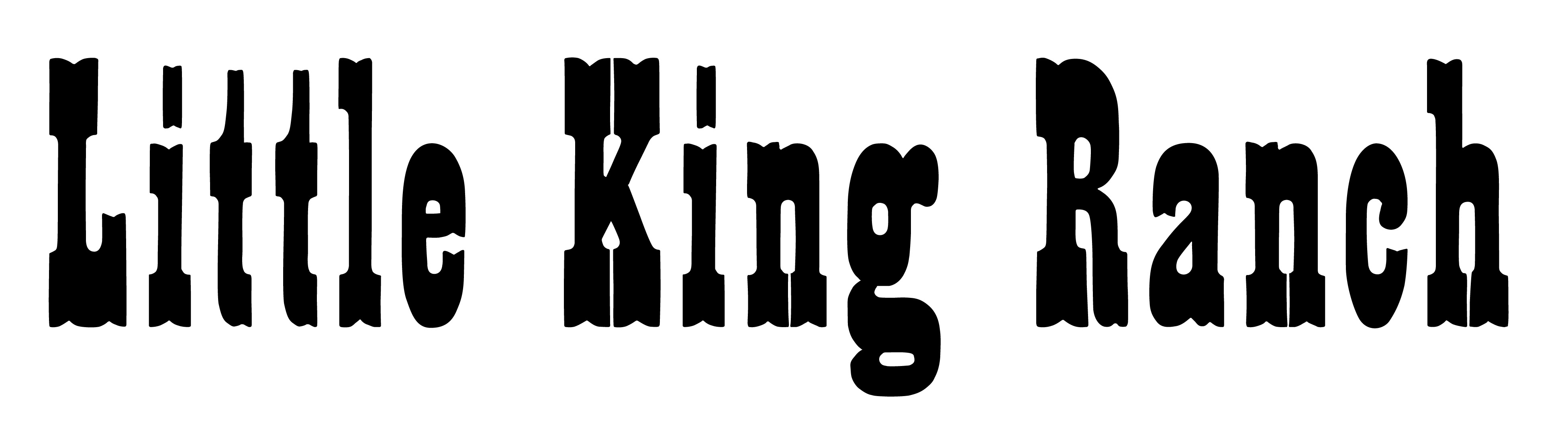 Little King Ranch