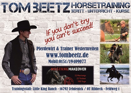 Tom Beetz Horsetraining